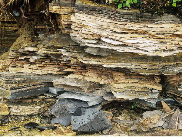 環保紙繩 紙手挽繩